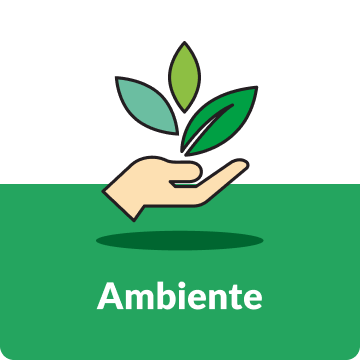 ambiente